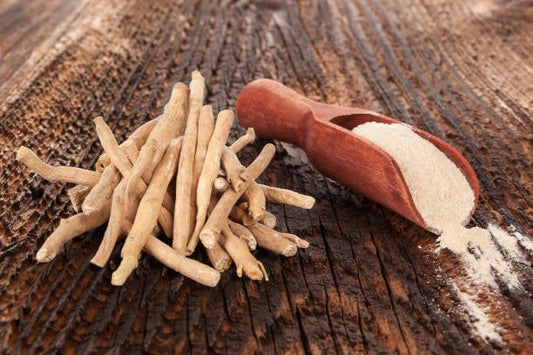 Ashwagandha roots and powder on a wooden surface, highlighting its use in herbal medicine.