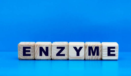 Wooden blocks spelling the word 'ENZYME' against a blue background.
