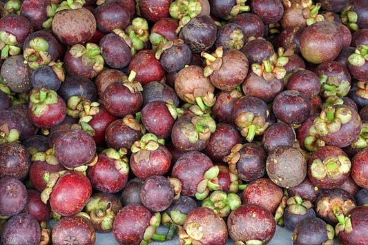 A close-up of fresh Garcinia Kola fruits, showcasing their vibrant colors and unique shapes, highlighting their natural health benefits.