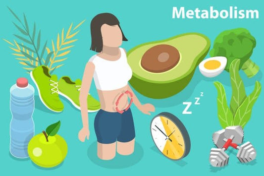 Illustration of metabolism with healthy foods, exercise gear, and fitness elements promoting metabolic health.