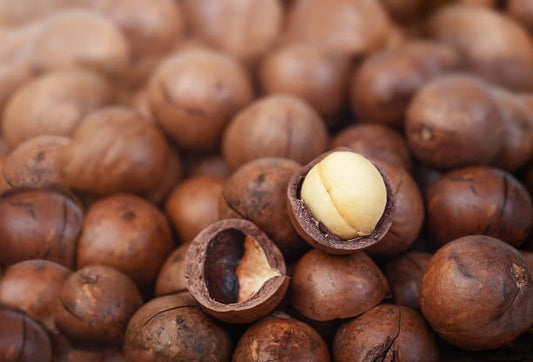 Close-up of macadamia nuts in shells with one nut exposed, showcasing their rich texture and color.