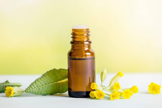 Flaskolja av nattljusolja med gula blommor och gröna blad i bakgrunden.