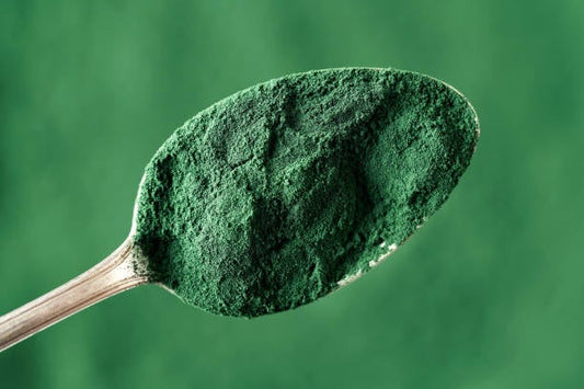 Spoonful of vibrant green spirulina powder on a blurred green background.