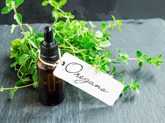 Oregano oil bottle with fresh oregano leaves on a slate surface, showcasing nature's healing properties.