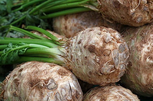 Färsk sellerirot med gröna bladskaft, en hälsosam rotfrukt rik på näringsämnen och fiber.