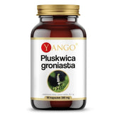 Yango - Black Cohosh Extract