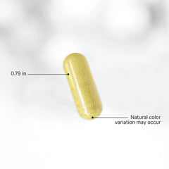 Codeage - Liposomal Nad+ Ultra - 90 Vcaps - 90 Vegetable Caps