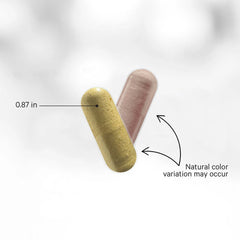 Codeage - SBO Probiotic+