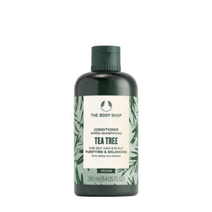 The Body Shop Tea Tree Conditioner in a 250ml bottle, ideal for oily hair and scalp, vegan, and made with natural ingredients.