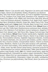 List of ingredients for Amix GreenDay ProVegan Multi VIP tablets including vitamins and minerals.