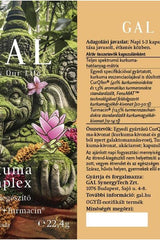 GAL Kurkuma-komplex packaging with vibrant design and floral accents for immune support and digestion.