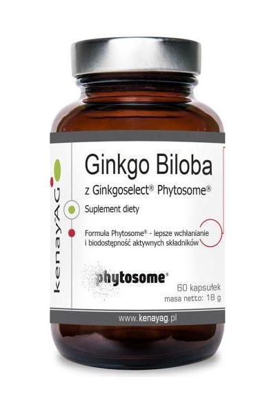 Kenay Ginkgo Biloba with Ginkgoselect Phytosome, 60 capsules, dietary supplement for cognitive support.