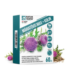 Natur Tanya Milk Thistle Max + Kolin ingredienser