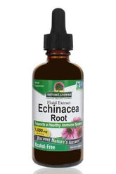 Nature's Answer Echinacea Root extract in dropper bottle, supports healthy immune system, alcohol-free herbal supplement.