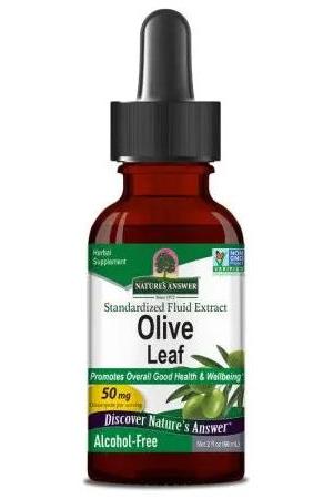 Nature's Answer Olive Leaf Extract 50 mg, herbal supplement for immune support and overall wellbeing.