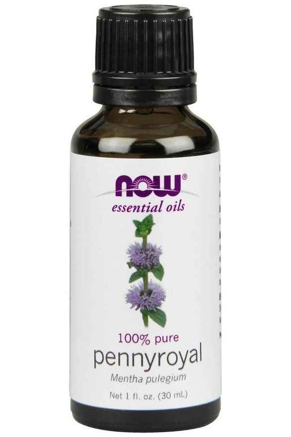NOW Foods - Essential Oil, Pennyroyal Oil - 30 ml.
