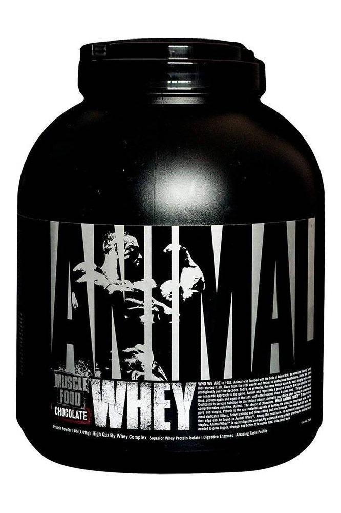 Universal Nutrition Animal Whey protein powder container, rich in chocolate flavor for muscle growth and recovery.