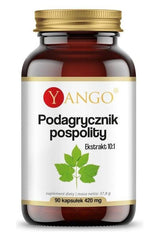 Yango Aegopodium Podagraria supplement bottle with 90 vegetarian capsules, promoting anti-inflammatory benefits.