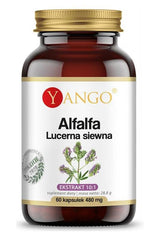 Yango Alfalfa supplement bottle with 60 caps, featuring natural health benefits and 10:1 extract.