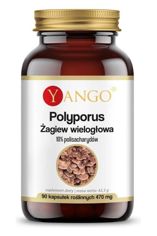 Yango Polyporus supplement bottle with 90 capsules, 10% polysaccharides for immune support and antioxidant benefits.