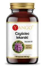 Yango Stachys Officinalis Extract 10:1 90 capsules for immune support and anti-inflammatory benefits.