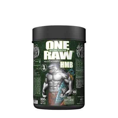 Zoomad Labs - Raw One HMB, Unflavored - 300 g