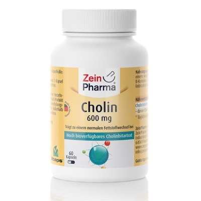 Zein Pharma - Choline, 600mg - 60 caps