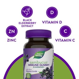 Nature's Way - Elderberry Gummies - 60 Gummies
