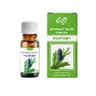 Etja - Natural Essential Oil - Pine