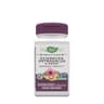 Nature'S Way - Echinacea Astragalus & Reishi - 100 Vcaps