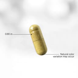 Codeage - Fermented Digestive Enzymes+