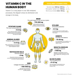 CaliVita C 500 - 100 tablettia