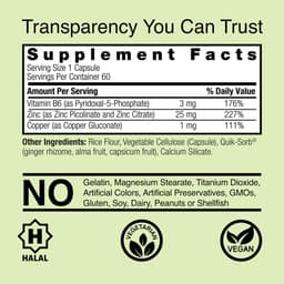 Nature's Answer - Zinc Plus - 60 Vcaps