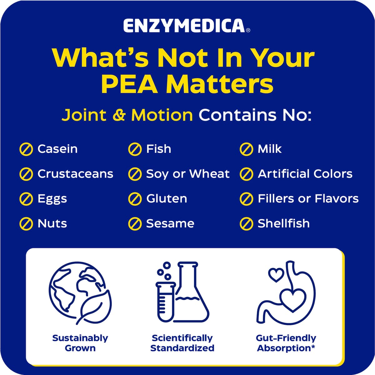 Enzymedica - Led & Muskel Pea Phytosome - 45 vcaps