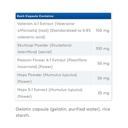 Natural Factors - Sleep Relax Formula - 90 Caps