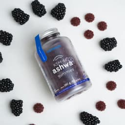 Nutriversum - KSM-66 Ashwagandha Gummies Blackberry 60 Gummies