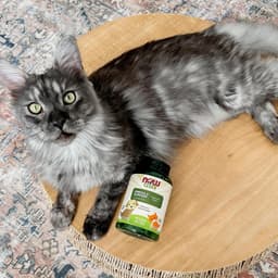 NOW Foods - Omega-3 Support For Pets - 180 Sgels