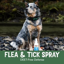 NOW Foods - Flea & Tick Spray For Dogs - 237ml