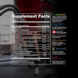 SteelFit - Shredded Steel