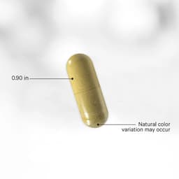 Codeage - Men's Fermented Multivitamin+
