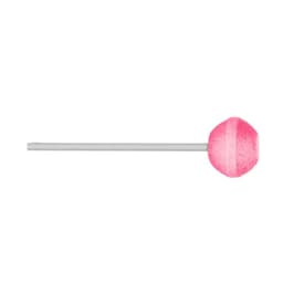 Zdrowy Lizak - Healthy Lollipop Student - 1 pcs