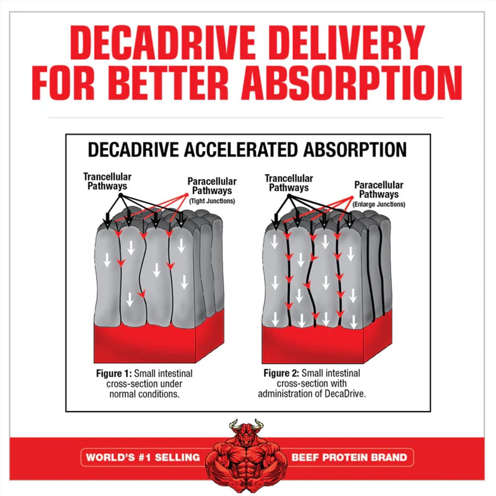 MuscleMeds - Creatine Decanate - 300g