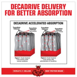 MuscleMeds - Creatine Decanate - 300g