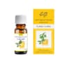 Etja - Naturlig æterisk olie - Ylang-Ylang 10ml