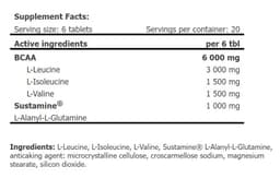 Amix - Sustained Synchro BCAA With Sustamine - 300g