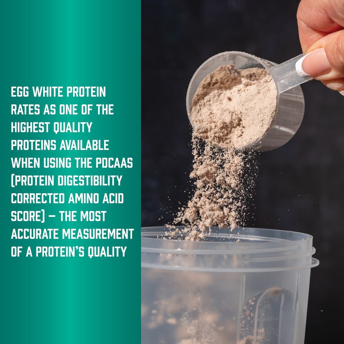 NOW Foods - Egg White Protein (Creamy Chocolate - 680g)