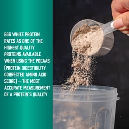NOW Foods - Egg White Protein (Creamy Chocolate - 680g)