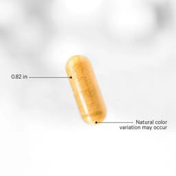 Codeage Liposomal CoQ10 Max - 60 Vcaps - 60 Vegetable Caps