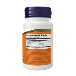 NOW Foods - Intestinal Bacteria Support - 60 Vcaps