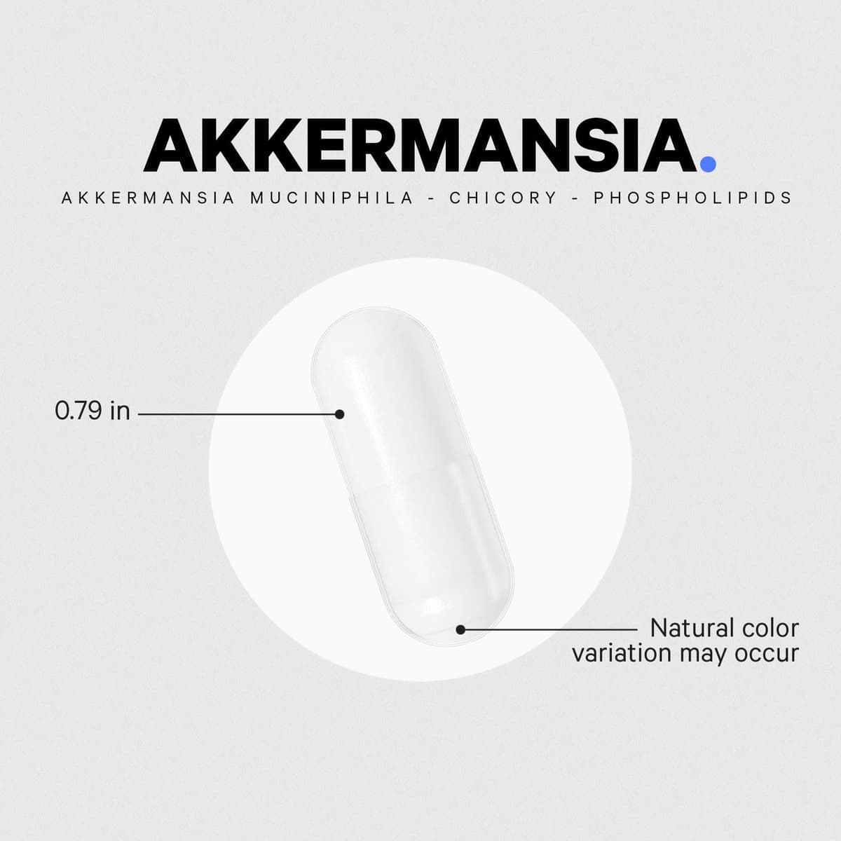 Codeage Akkermansia - 90 Vcaps - 90 Vegetable Caps
